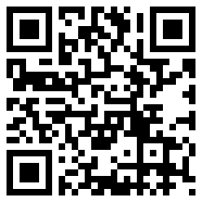 Divirtual汉化版安卓国语版
