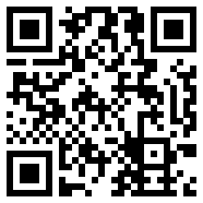 飞速pdf