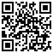 刺客特攻队