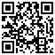 net framework 4.0vip