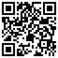 net framework 4.0NFT版