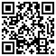 net framework 4.0Web2破解