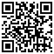 越南首富范日旺游戏存档