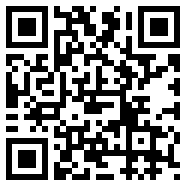 老头环手游破解