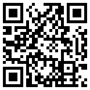 龙枪online