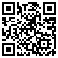 网极swf播放器