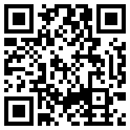 dynamicspot专业版