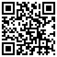 net framework 4.0无限体