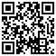 net framework 4.0粉色版本