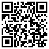 Divirtual汉化版
